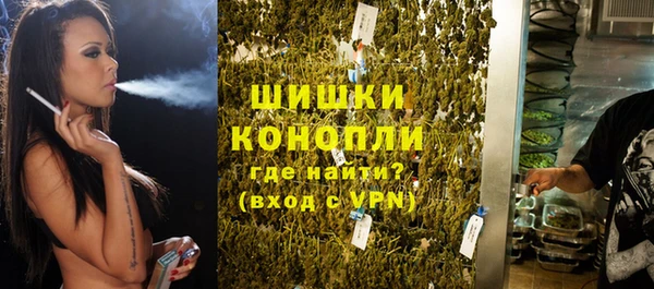 тгк Лиски