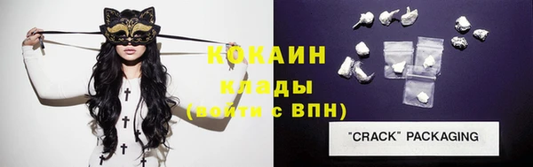 тгк Лиски