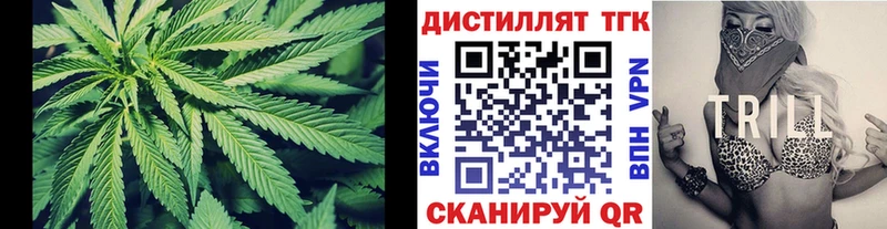 kraken ONION  Тайга  Дистиллят ТГК вейп с тгк  где продают  