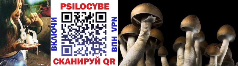 Псилоцибиновые грибы прущие грибы Тайга